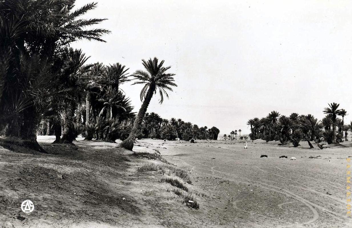 Colomb bechar 518- oued COLLECTION DES AMIS DE ND DE SANTA CRUZ.jpg